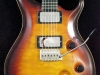 PRS Copy (9)