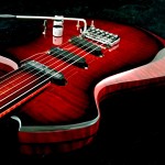 fretless raven (1)